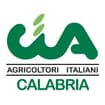 Logo Cia Impresa Calabria Srl