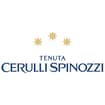 Logo Tenuta Cerulli Spinozzi Srl