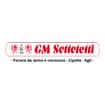 Logo G M Sottotetti Srl