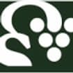 Logo Stillo Vittorio