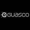 Logo Guasco Srl