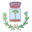Logo Comune Di Frattaminore