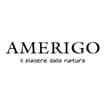 Logo Amerigo Srl