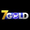 Logo Tvr Teleitalia Srl