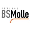 Logo Bsmolle Srl