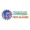 Logo Lombardi Services Srl - Tecnologie Per Il Clima -