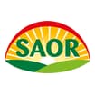Logo Saor Italia Srl