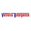 Logo Vetreria Biturgense Srl