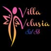 Logo Villa Volusia Srl Società Benefit O Piu' Brevemente Villa Volusia Srl Sb