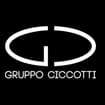Logo Gruppo Ciccotti Srl