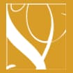 Logo Leonardo Srl Società Tra Professionisti