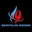 Logo Gentilin Egidio Srl