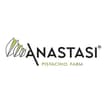 Logo Anastasi Srl