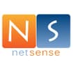 Logo Netsense Srl