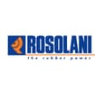 Logo "Rosolani Srl"