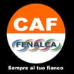 Logo Centro Di Assistenza Fiscale Fenalca Dipendenti E Pensionati Srl