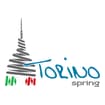 Logo Torino Spring Srl