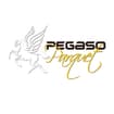 Logo Pegaso Parquet Ristrutturazioni Srl