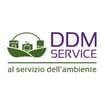 Logo D.d.m. Service Di Montanelli Laura & C. S.a.s.