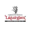 Logo Liquirgam Srl