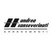 Logo Andrea Sanseverinati Srl