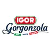 Logo Igor Srl