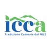 Logo Icca Srl