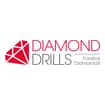 Logo Diamond Drills Srl