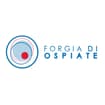 Logo Forgia Di Ospiate Srl