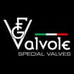 Logo Fg Valvole Srl