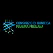 Logo Consorzio Di Bonifica Pianura Friulana