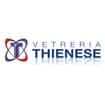 Logo Vetreria Thienese Srl