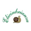 Logo Elicinbrianza Di Sala Elena