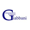 Logo Falegnameria Artigiana Giabbani Di Giabbani Silvano E C.s.n.c.