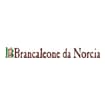 Logo Norcia International Srl