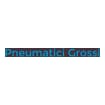 Logo Pneumatici Grossi Srl