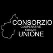Logo Consorzio Cooperative Edilizie Unione - Società Cooperativa