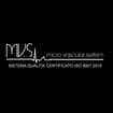 Logo M.v.s.-Srl
