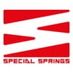 Logo Special Springs Srl
