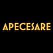 Logo Apecesare Srl