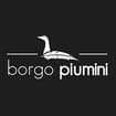 Logo Borgopiumini Srl