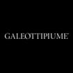 Logo Galeottipiume Srl