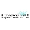 Logo Consorzio Stupino Cavallo & C. Srl