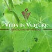 Logo Vitis In Vulture - Società Cooperativa Agricola