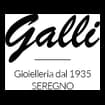 Logo Galli S.a.s. Di Galli Maria E C.