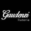 Logo Gaudenzi Guitars Di Gaudenzi Mauro