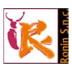Logo Ronin S.n.c. Di Gruppo Indaco Srl