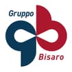 Logo Gruppo Bisaro - G&B Srl
