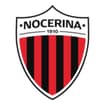 Logo "Nocerina Calcio 1910 - Società Sportiva Dilettantistica A Respo Nsabilita' Limitata", In Forma Abbreviata "Nocerina Calcio 1910 S.s.d. S. S.r.l