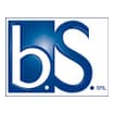 Logo B.s. Srl